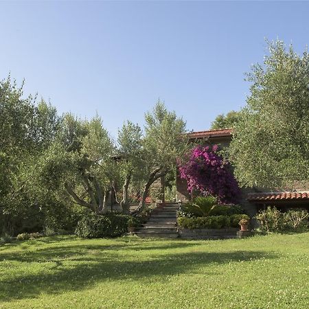 Gli Ulivi Βίλα Trevignano Romano Εξωτερικό φωτογραφία