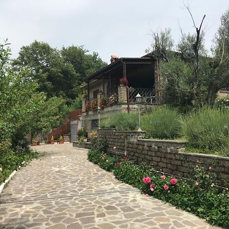 Gli Ulivi Βίλα Trevignano Romano Εξωτερικό φωτογραφία