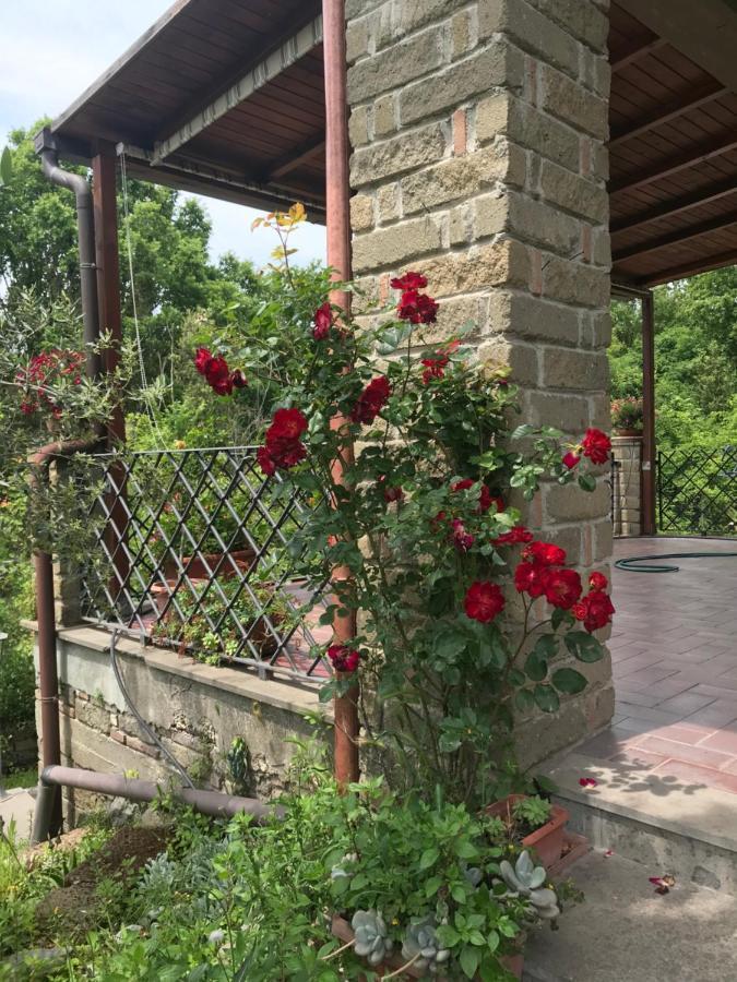 Gli Ulivi Βίλα Trevignano Romano Εξωτερικό φωτογραφία