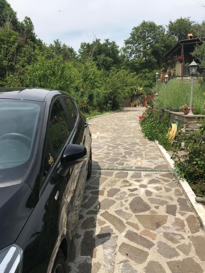 Gli Ulivi Βίλα Trevignano Romano Εξωτερικό φωτογραφία